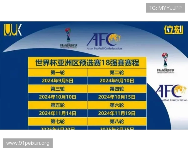 2026年世界杯48支球队名单最新消息，全面解读参赛队伍组成与赛程安排