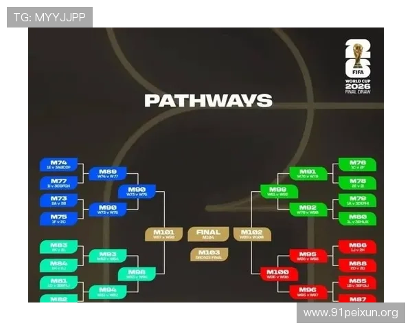 2026年世界杯出线球队最新排名及晋级情况全面解析