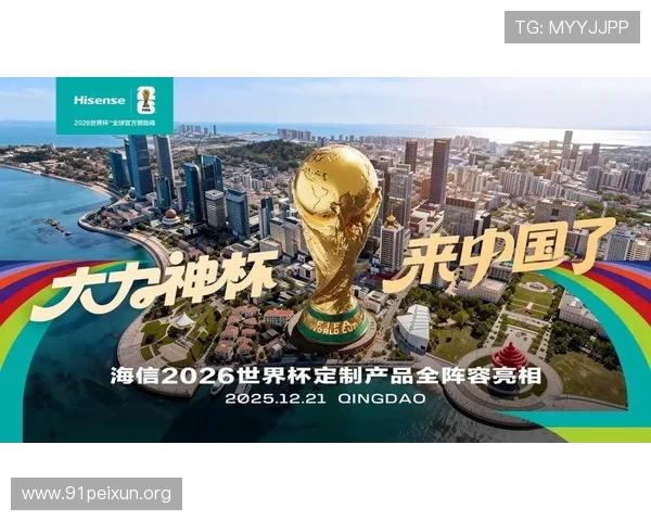 2026年世界杯参赛球队球服的定制服务与个性化定制方案详解