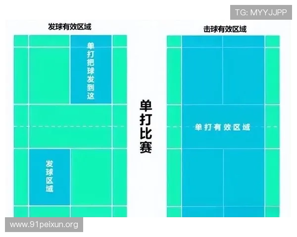 qy千亿球友会平台登录入口全面指南帮助玩家顺利进入平台体验最新赛事资讯